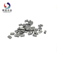 锯齿片 5516 (4)